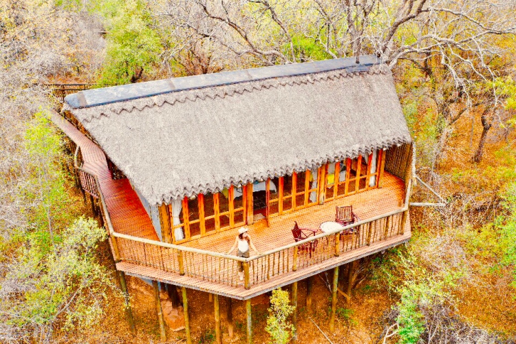 Jaci's Lodge Madikwe South Africa Safari